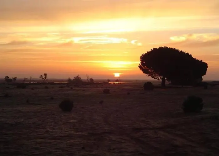 La Cabana De Donana
